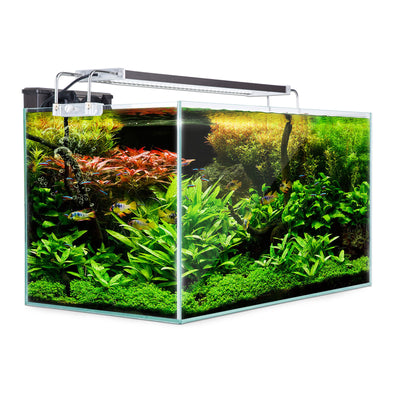 Dynamic Power Aquarium Fish Tank 70L Starfire Glass