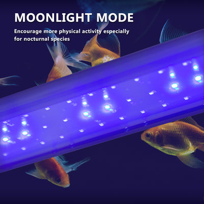 27W Aquarium Blue White LED Light for Tank 95-115cm